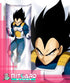 DRAGON BALL SUPER Vegeta Body pillow case dakimakura - 2
